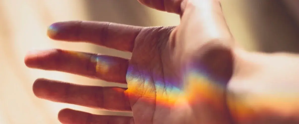 Organizacje Pożytku Publicznego w Jedynce