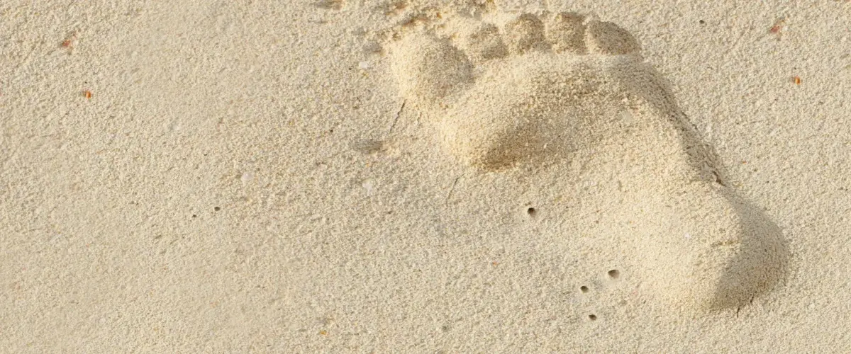 Ślady na piasku